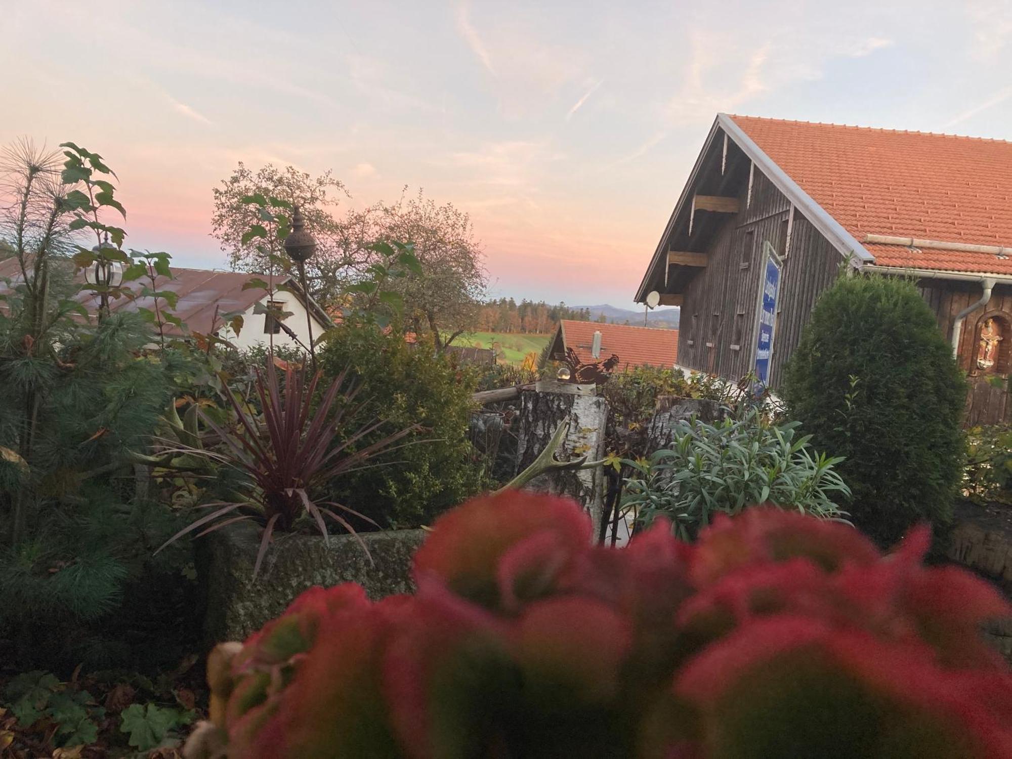 Zur Neuen Post Landgasthof Herzogsreut ภายนอก รูปภาพ