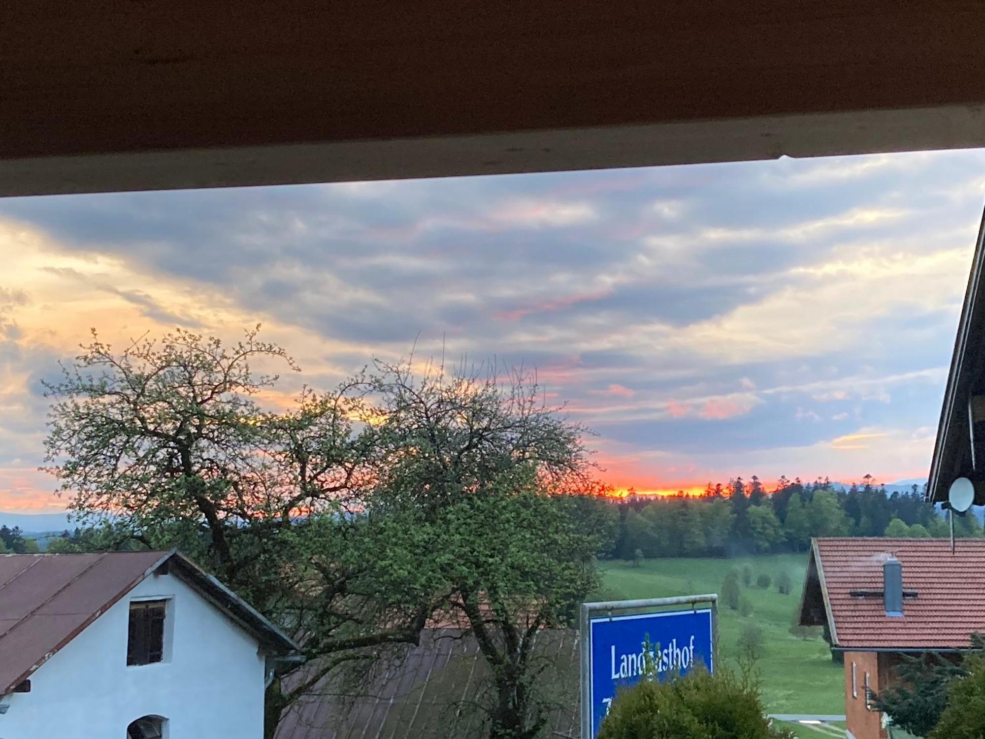 Zur Neuen Post Landgasthof Herzogsreut ภายนอก รูปภาพ