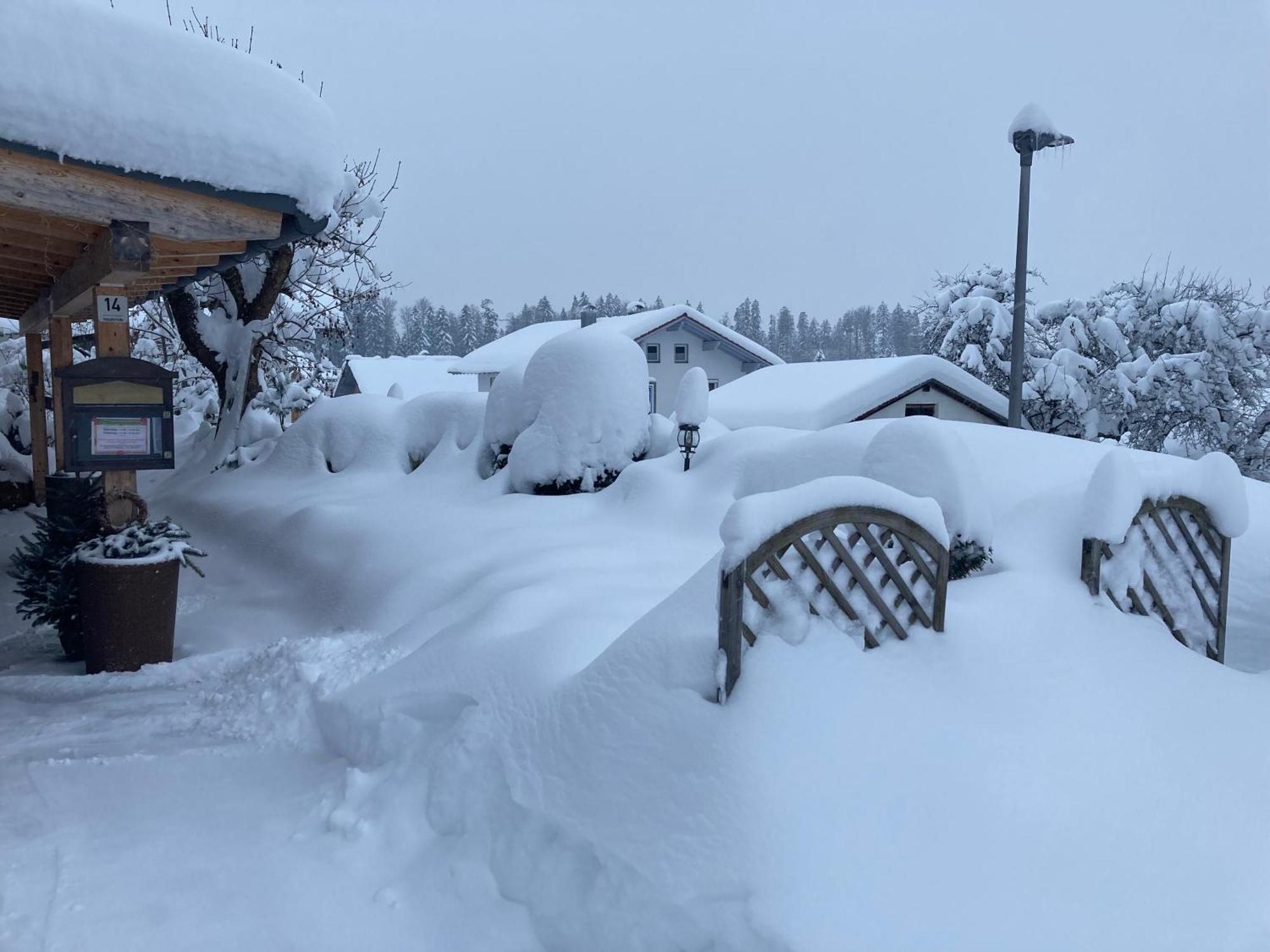 Zur Neuen Post Landgasthof Herzogsreut ภายนอก รูปภาพ